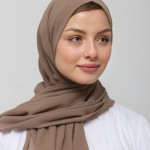 Foulard chiffon BISTRE